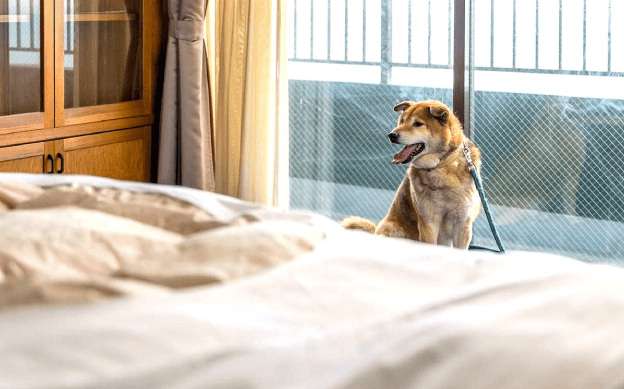 一緒に過ごせる空間